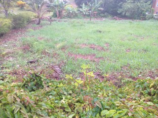 Residential lot For Sale in Knockpatrick Gardens, Manchester Jamaica | [2]