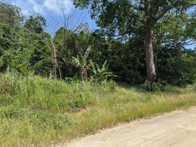 Residential lot For Sale in Red Hills, Kingston / St. Andrew Jamaica | [5]