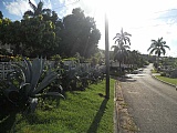 Residential lot For Sale in Ironshore, St. James Jamaica | [5]