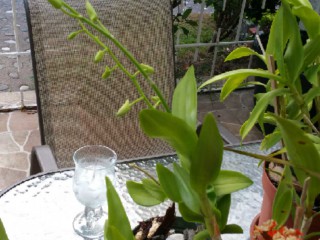 Apartment For Sale in New Kingston, Kingston / St. Andrew Jamaica | [12]