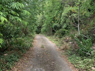Residential lot For Sale in Constant Spring Stony Hill, Kingston / St. Andrew, Jamaica