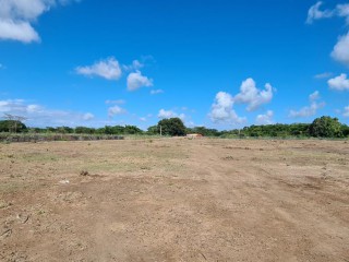 4 bed Commercial/farm land For Sale in Bushy Park, St. Catherine, Jamaica