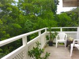Apartment For Rent in Spring Gardens, St. James Jamaica | [11]