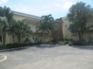Apartment For Rent in New Kingston, Kingston / St. Andrew Jamaica | [13]