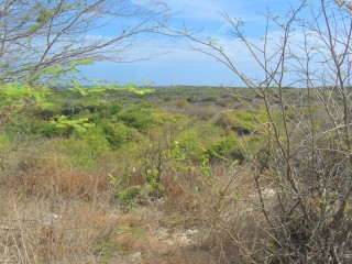 Residential lot For Sale in Hellshire, St. Catherine Jamaica | [3]