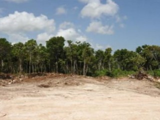 Residential lot For Sale in Highlands, St. James Jamaica | [1]