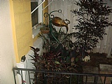 Apartment For Rent in Kingston 10 Near to New Kingston, Kingston / St. Andrew Jamaica | [1]