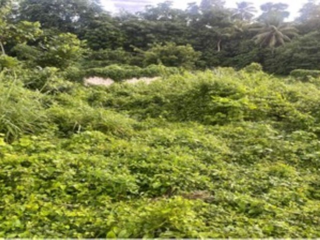 Residential lot For Sale - Linstead, St. Catherine, Jamaica