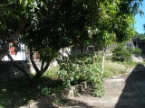 House For Sale in Oliver Gardens May Pen, Clarendon Jamaica | [10]