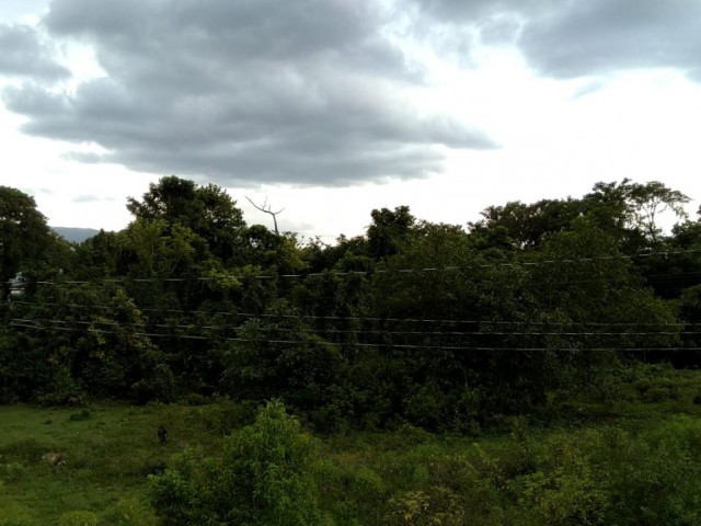 Development Land (Residential) For Sale in Longwood Near St Cruz, St. Elizabeth Jamaica | [1]