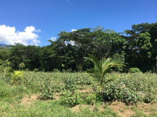 Commercial/farm land For Sale in Bath, St. Thomas Jamaica | [7]