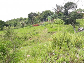 Residential lot For Sale in Lumsden, St. Ann Jamaica | [6]