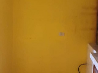 Residential lot For Rent in Lilford Avenue, Kingston / St. Andrew Jamaica | [4]