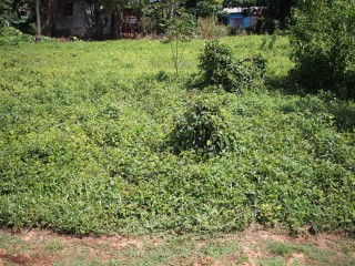 Residential lot For Sale in Middle Quarters, St. Elizabeth Jamaica | [1]