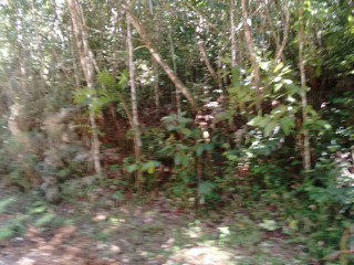 Residential lot For Sale in Windover, St. Catherine, Jamaica