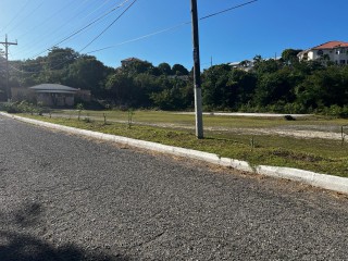 Residential lot For Sale in Rio Nievo, St. Mary Jamaica | [5]