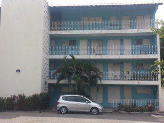 Apartment For Rent in Constant Spring Rd, Kingston / St. Andrew Jamaica | [4]