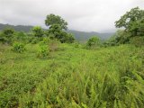 Commercial/farm land For Sale in Grange Hill, Portland Jamaica | [1]