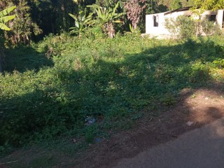 Residential lot For Sale in Oracabessa PO, St. Mary, Jamaica