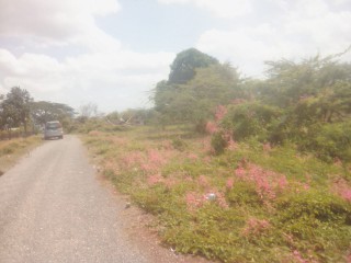 Land For Sale in May Pen, Clarendon Jamaica | [3]
