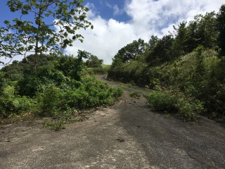 Residential lot For Sale in Chippenham Park Bamboo, St. Ann Jamaica | [4]