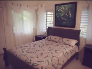 House For Rent in Richmond, St. Ann Jamaica | [4]
