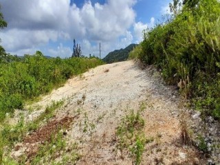 Residential lot For Sale in Rural Retreat Claremont, St. Ann, Jamaica