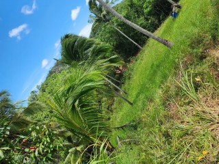 Residential lot For Sale – Linstead, St. Catherine, Jamaica