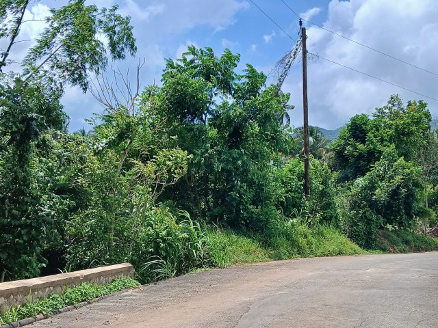 Land For Sale in Linstead, St. Catherine Jamaica | [1]