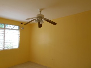 House For Rent in Roehampton Circle, Kingston / St. Andrew Jamaica | [7]