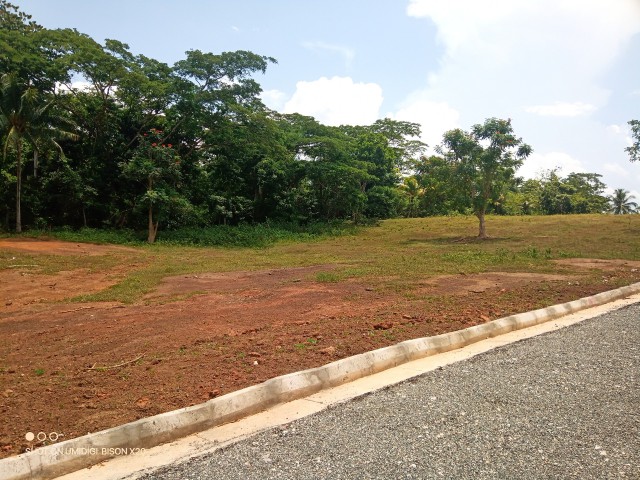 Residential lot For Sale in Linstead, St. Catherine Jamaica | [10]