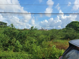 Land For Sale in New Bowens, Clarendon Jamaica | [1]