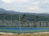 House For Rent in Mammee Bay, St. Ann Jamaica | [5]