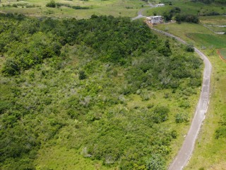 Land For Sale in New Wales, Manchester Jamaica | [1]