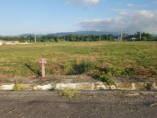 Residential lot For Sale in Paradise, Westmoreland Jamaica | [11]