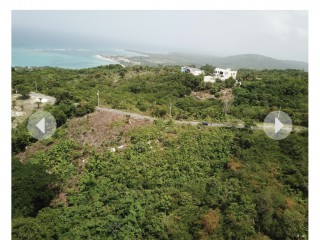 Land For Sale in Whitehouse, Westmoreland, Jamaica