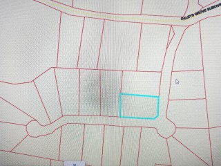 Land For Sale in Dalys Grove Knockpatrick, Manchester Jamaica | [9]