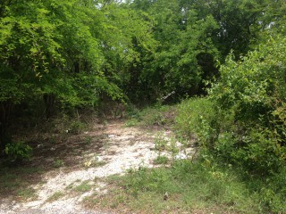 propertyadsja westmoreland negril