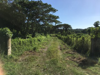 Commercial/farm land For Sale in Bath, St. Thomas Jamaica | [8]