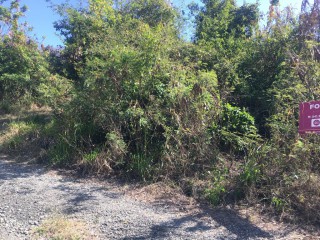 Residential lot For Sale in Yallahs, St. Thomas, Jamaica