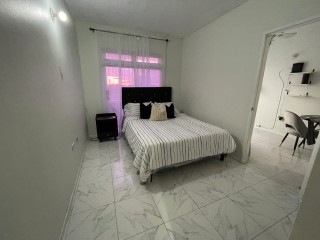 Apartment For Rent in New Kingston, Kingston / St. Andrew Jamaica | [1]