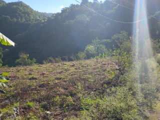 Land For Sale - Charlton Ave, Manchester, Jamaica