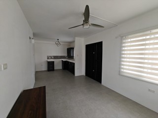 Apartment For Rent in Abia  The Condominiums, Kingston / St. Andrew Jamaica | [4]