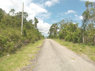 Commercial/farm land For Sale in Browns Town, St. Ann Jamaica | [7]