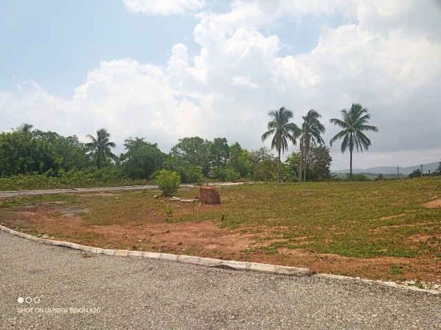 Residential lot For Sale in Linstead, St. Catherine Jamaica | [6]