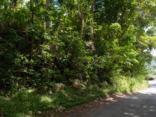 Land For Sale in Lime Hall, St. Ann Jamaica | [6]
