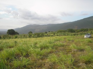 Residential lot For Sale - Round Hill Treasure Beach PO, St. Elizabeth, Jamaica