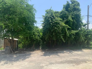 Residential lot For Sale in LUANA PEN BLACK RIVER, St. Elizabeth Jamaica | [10]