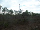Flat For Sale in Swansea May Pen, Clarendon Jamaica | [2]