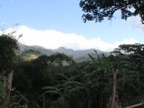 Residential lot For Sale in Maryland, Kingston / St. Andrew Jamaica | [8]